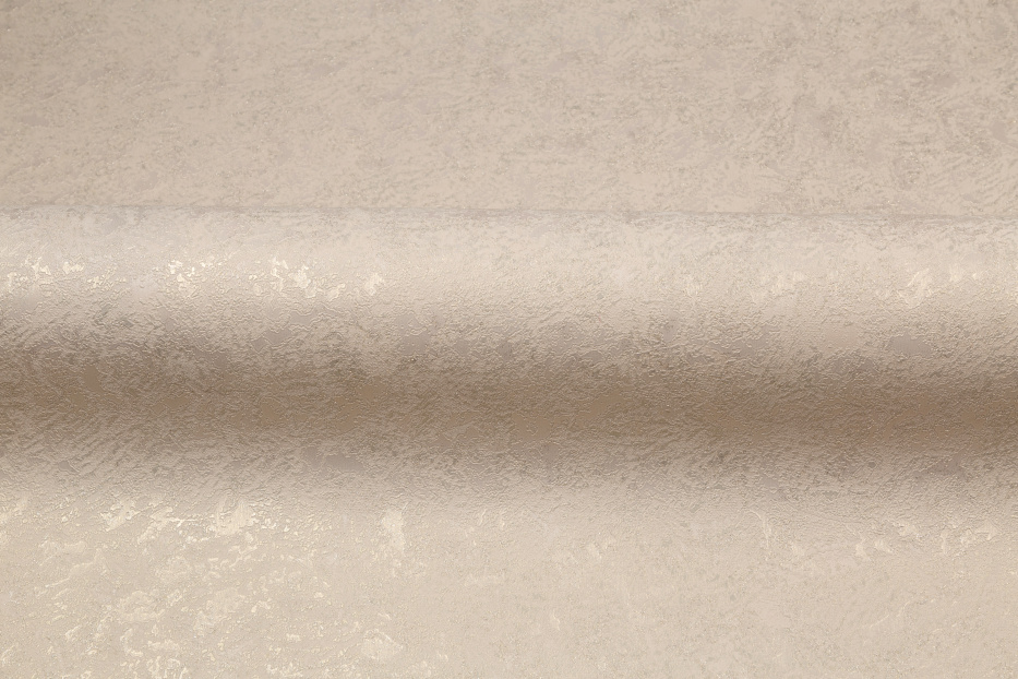 PP72102