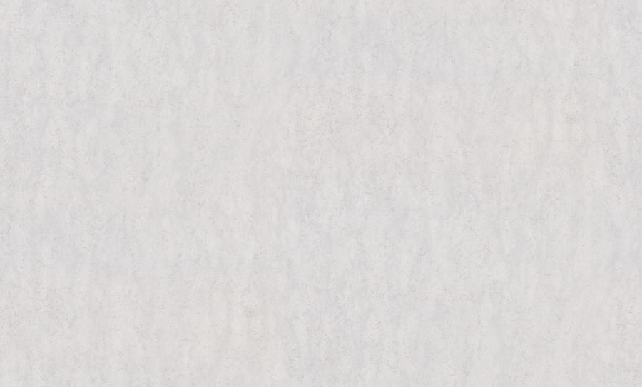PP72100-41