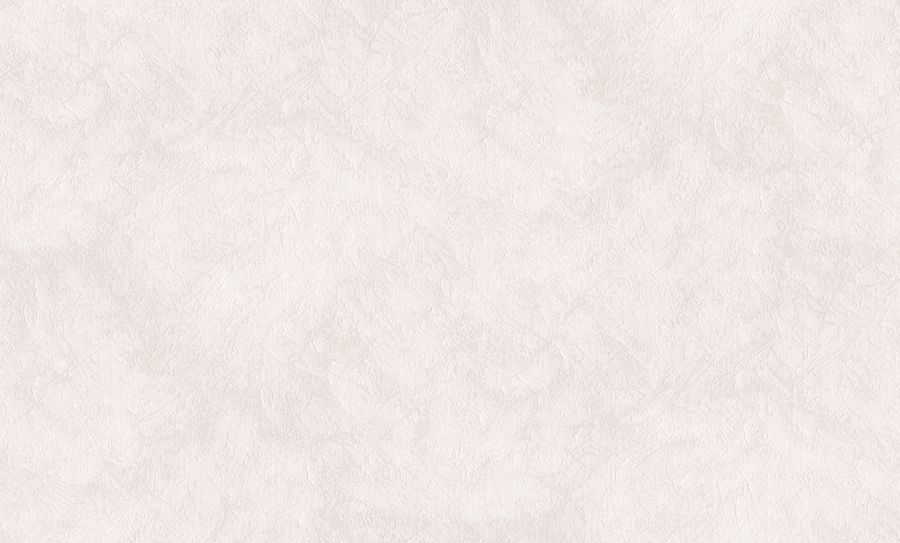 PP71881