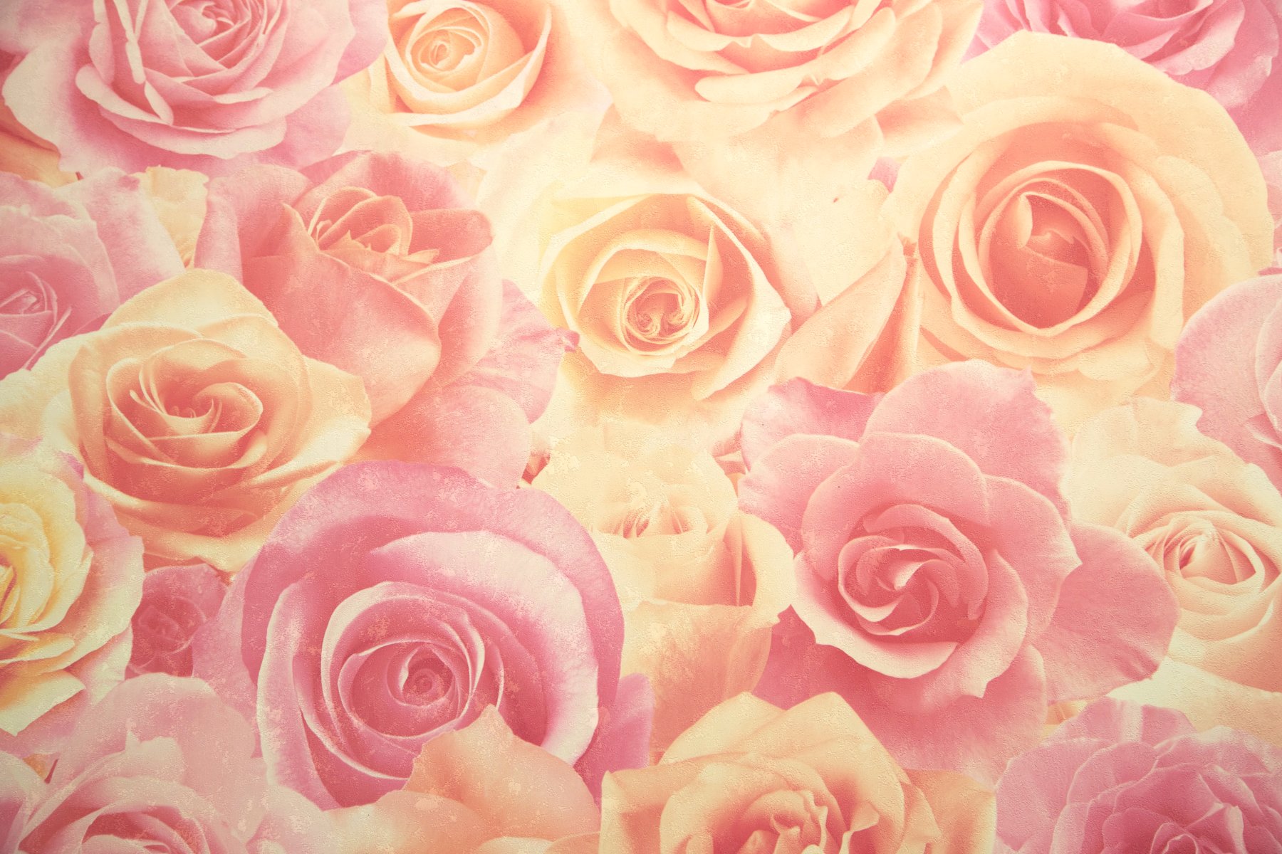 Макро-изображение 16 (группа 1)